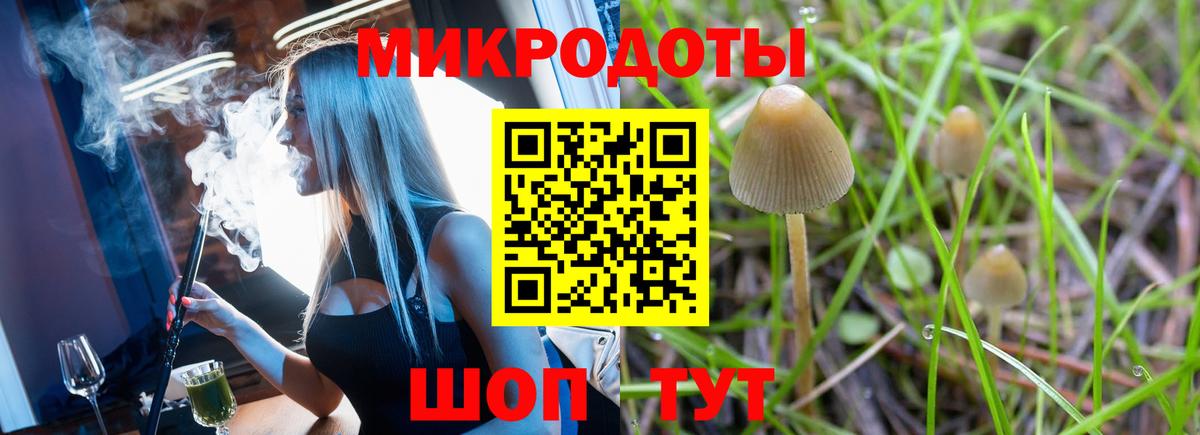 Галлюциногенные грибы Cubensis  Вход с VPN  Соль-Илецк 
